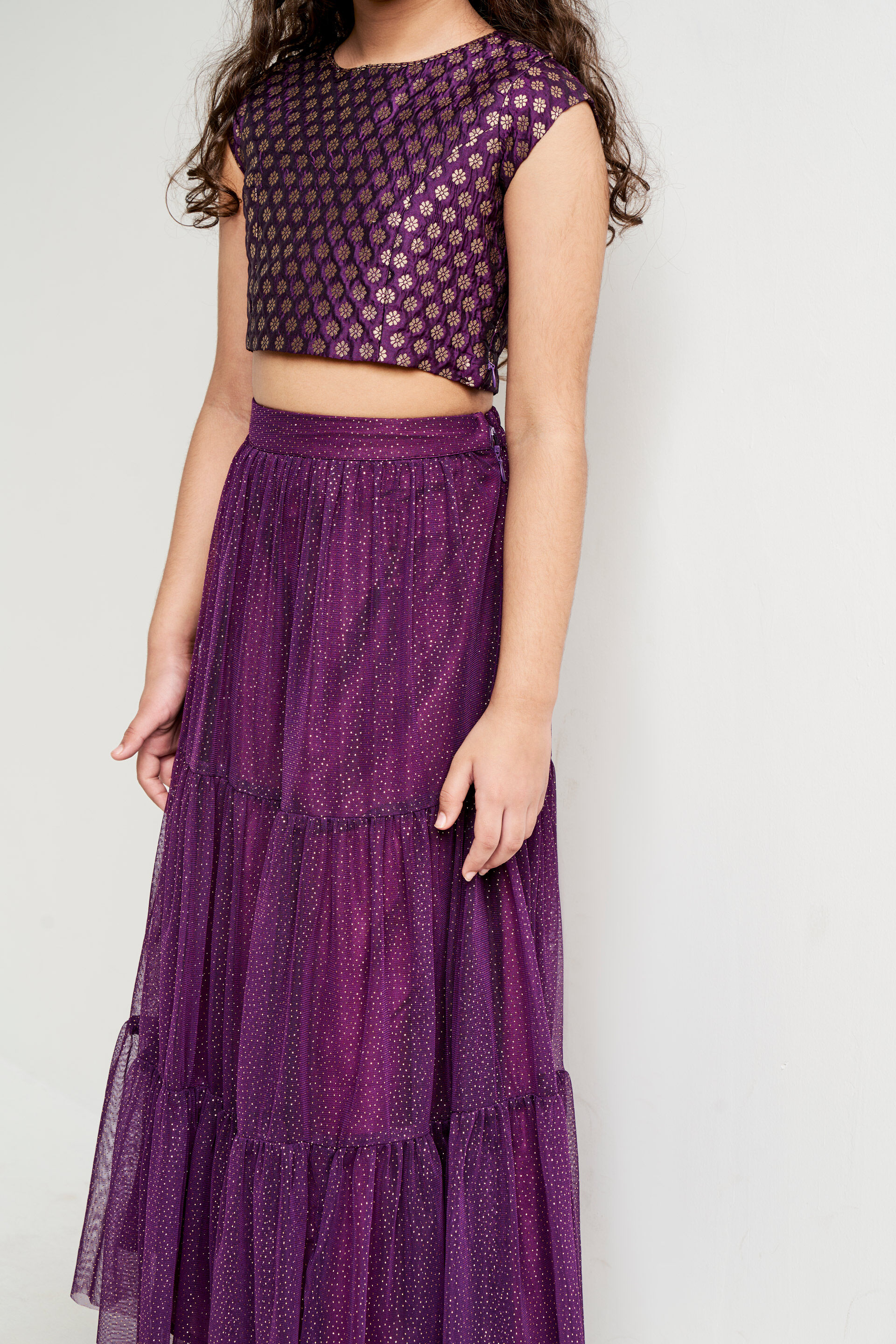 Purple Brocade Flared Suit, Purple, image 6